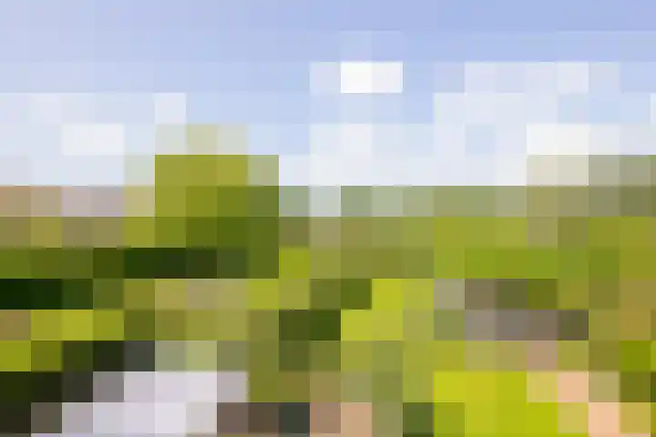 Veermolenweg 10 Haarlemmerliede thumbnail 64