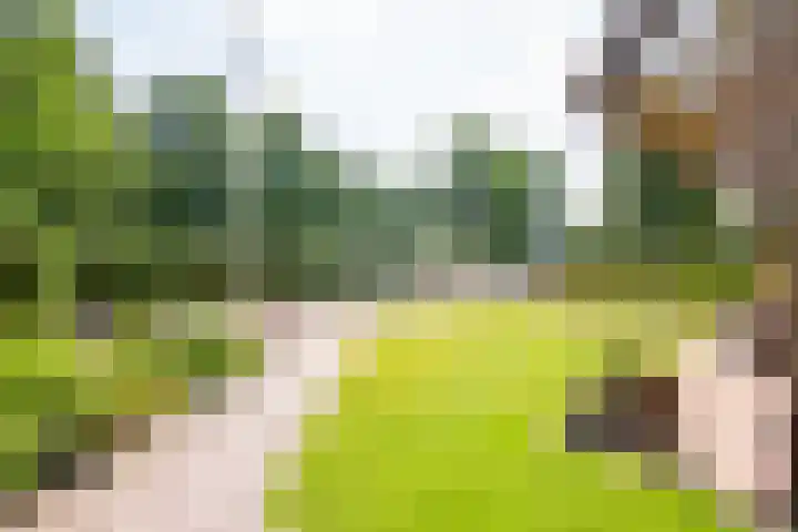 Veermolenweg 10 Haarlemmerliede thumbnail 66