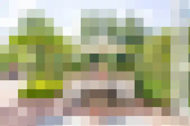 Veermolenweg 4 Haarlemmerliede thumbnail 22