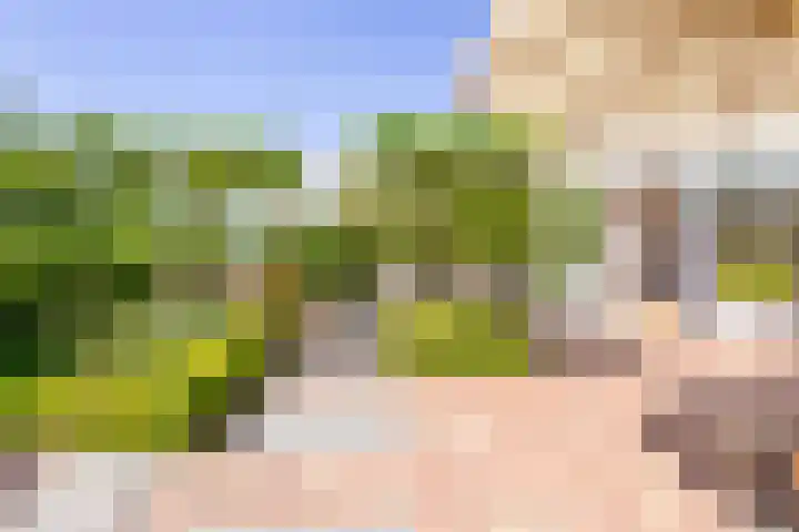 Veermolenweg 4 Haarlemmerliede thumbnail 23