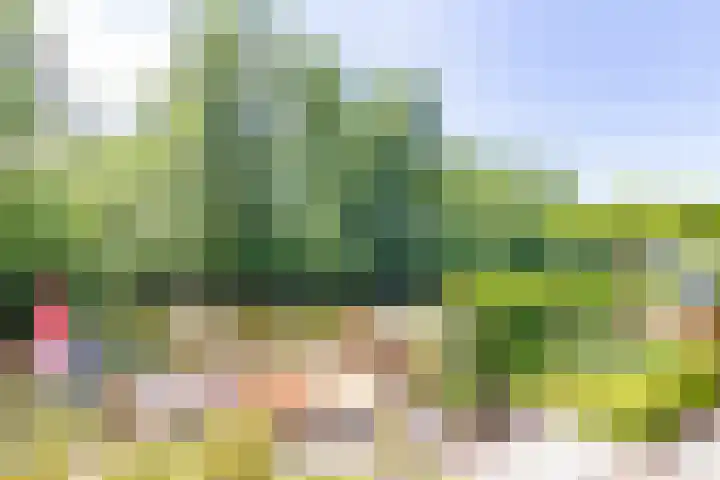 Veermolenweg 4 Haarlemmerliede thumbnail 30