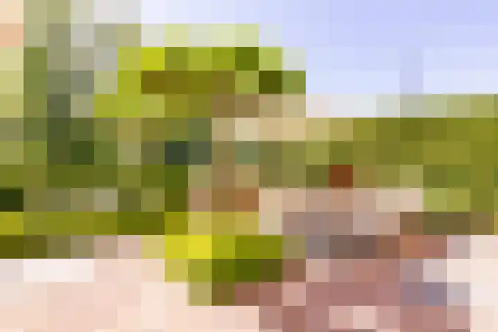 Veermolenweg 4 Haarlemmerliede thumbnail 31