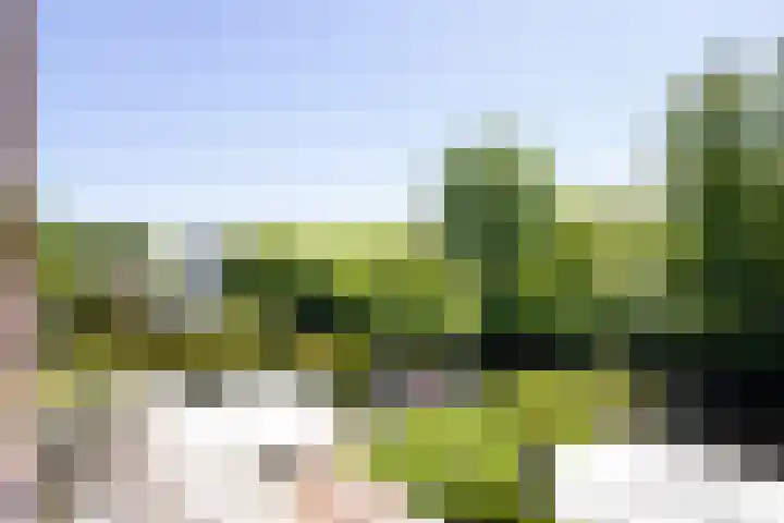 Veermolenweg 4 Haarlemmerliede thumbnail 34
