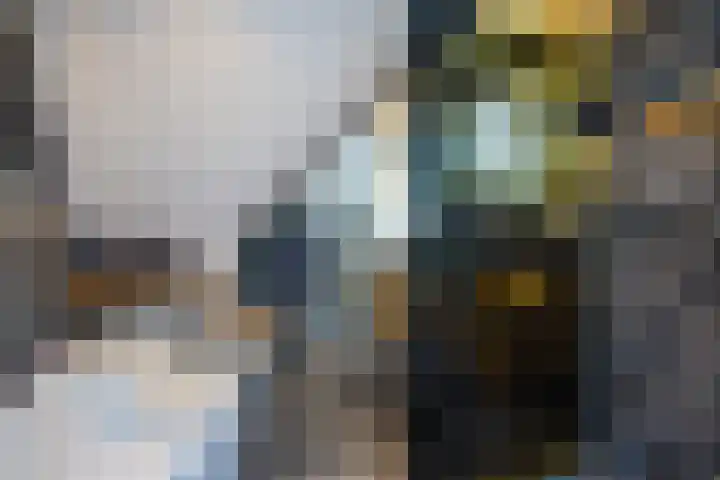 Veermolenweg 4 Haarlemmerliede thumbnail 37