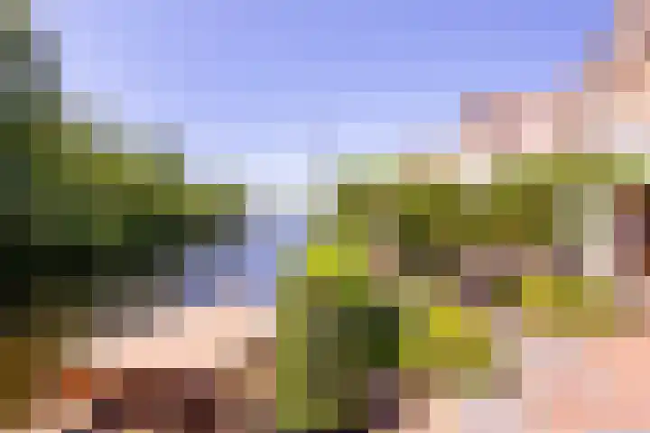 Veermolenweg 4 Haarlemmerliede thumbnail 4