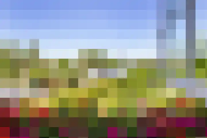 Veermolenweg 4 Haarlemmerliede thumbnail 43