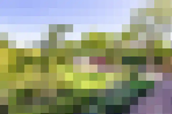 Veermolenweg 4 Haarlemmerliede thumbnail 47