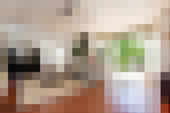 Veermolenweg 4 Haarlemmerliede thumbnail 5