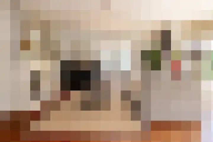 Veermolenweg 4 Haarlemmerliede thumbnail 6