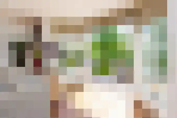 Veermolenweg 4 Haarlemmerliede thumbnail 9
