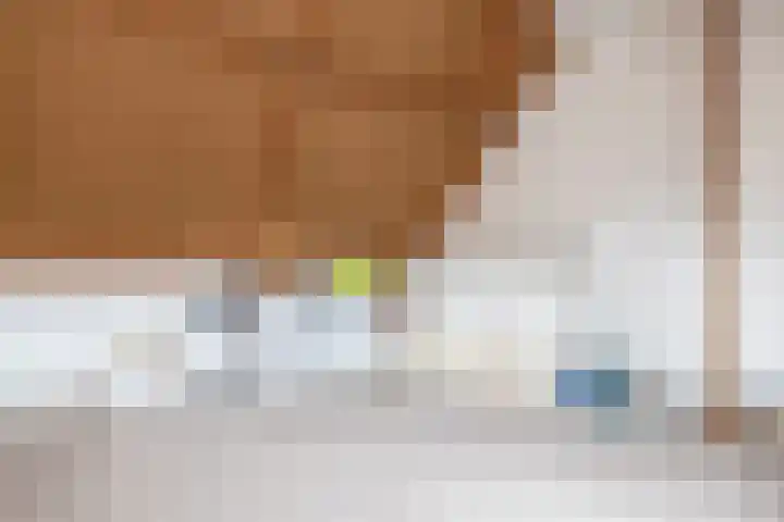 Veerpad 27 Krimpen aan den IJssel thumbnail 33
