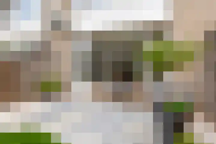 Veerpad 27 Krimpen aan den IJssel thumbnail 34