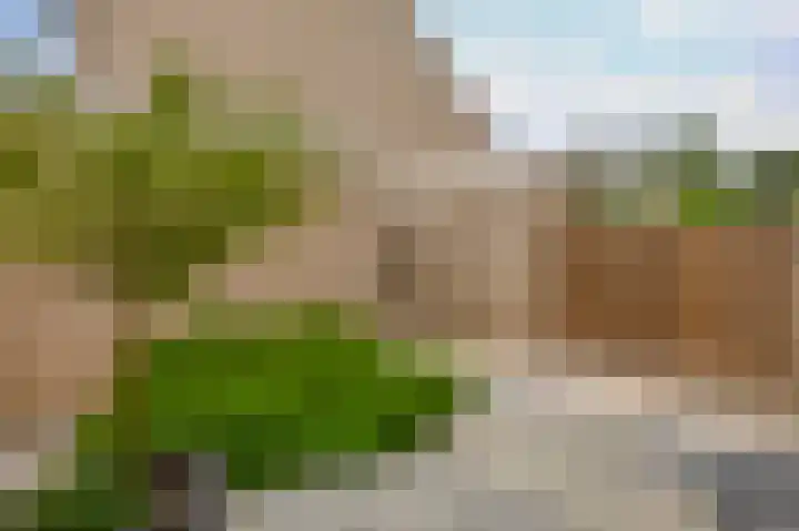 Veerpad 27 Krimpen aan den IJssel thumbnail 37