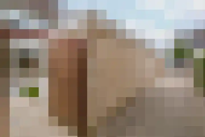 Veerpad 27 Krimpen aan den IJssel thumbnail 38