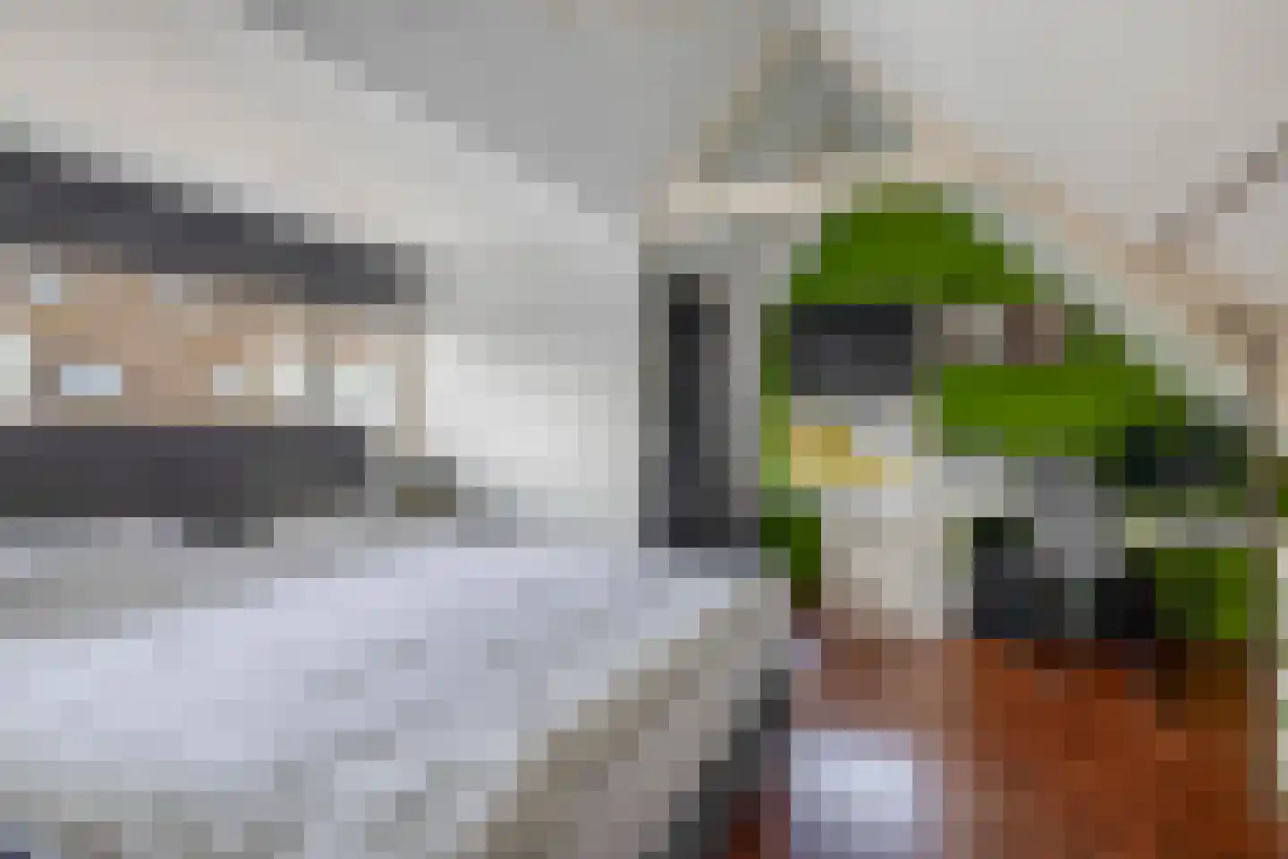 Veerpad 4 Krimpen aan den IJssel thumbnail 25