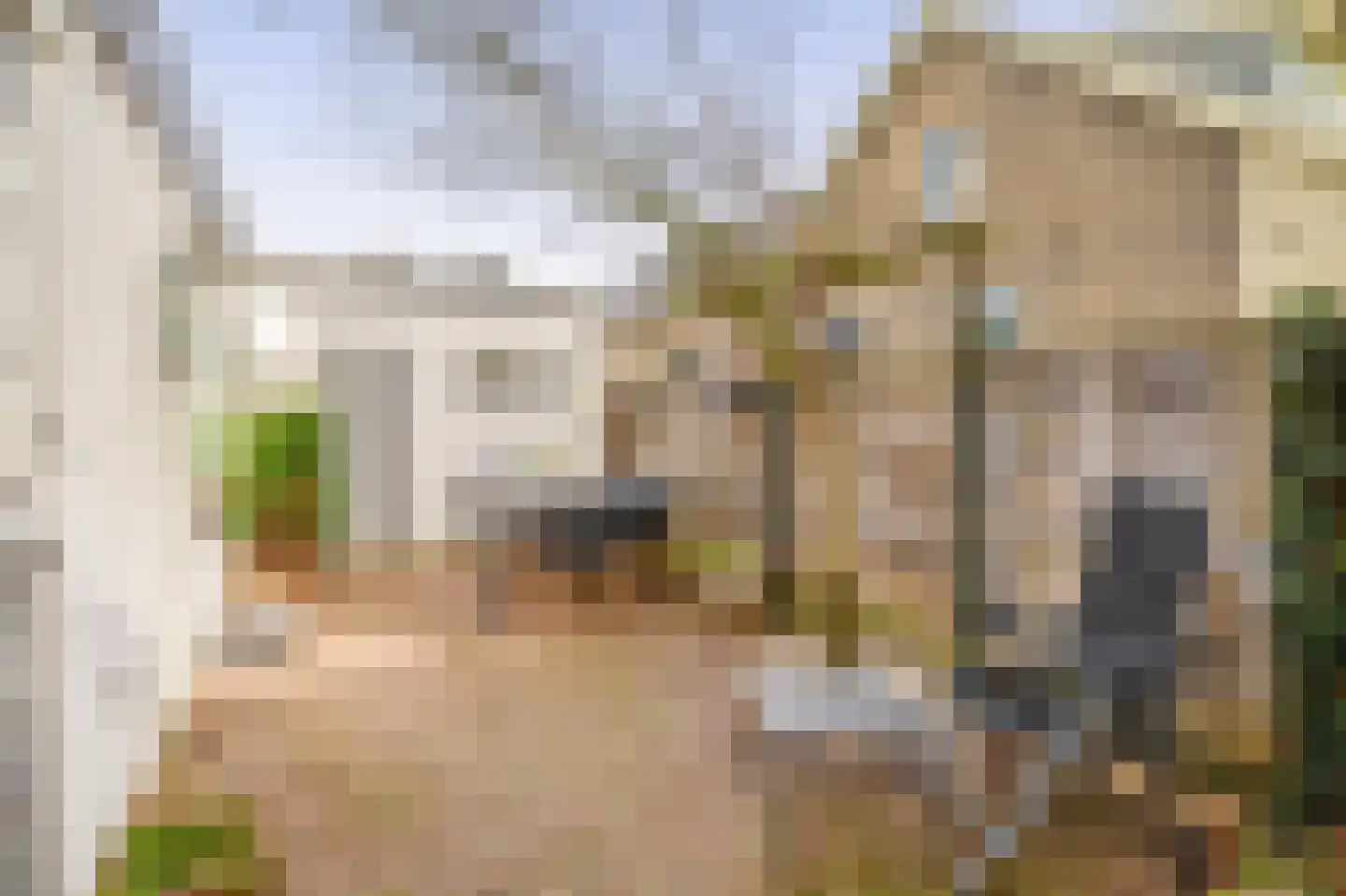 Veerpad 4 Krimpen aan den IJssel thumbnail 30