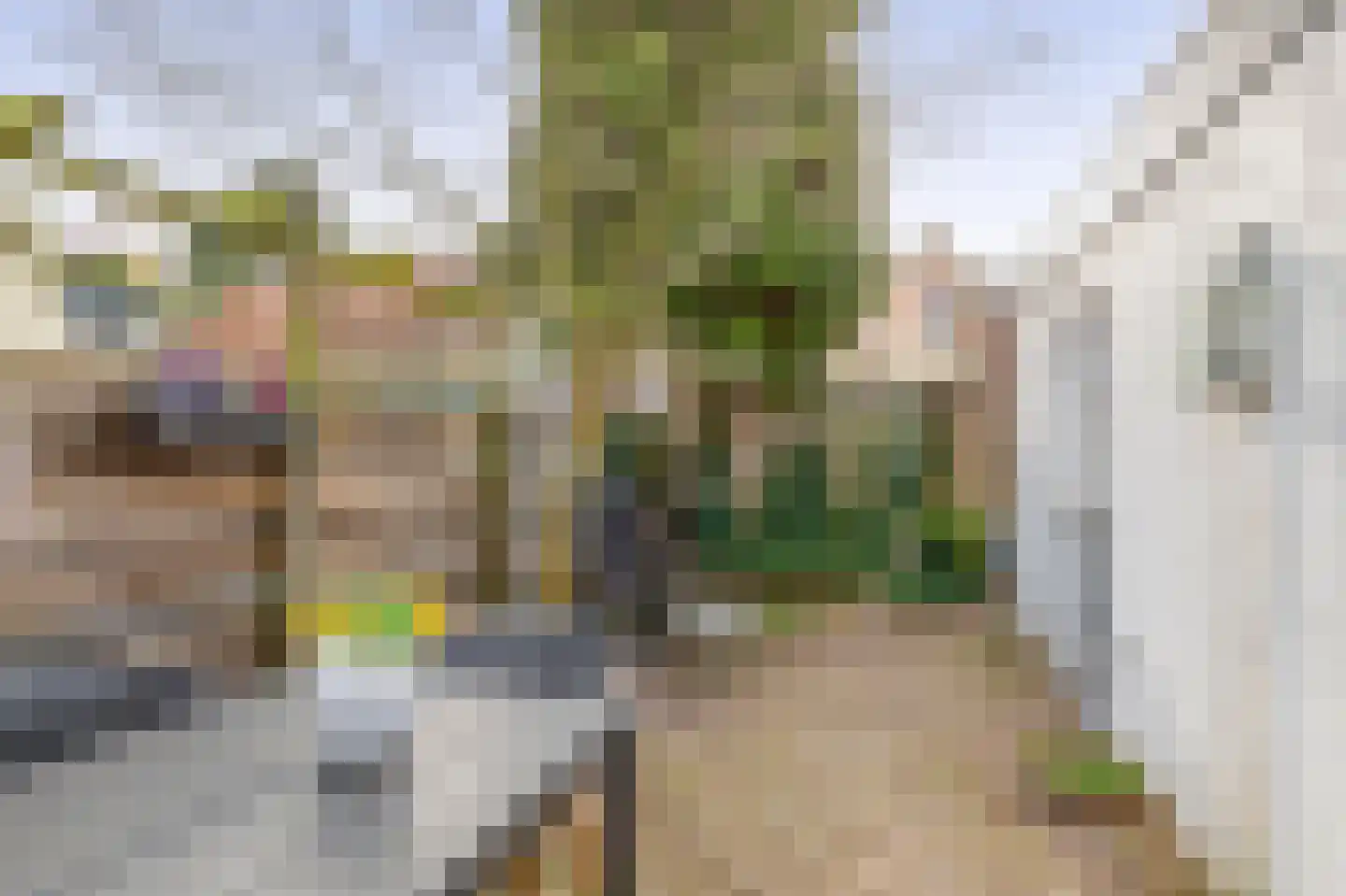 Veerpad 4 Krimpen aan den IJssel thumbnail 31