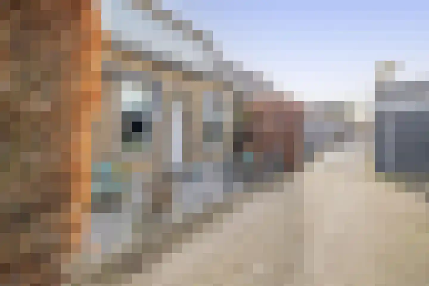 Veerpad 4 Krimpen aan den IJssel thumbnail 6