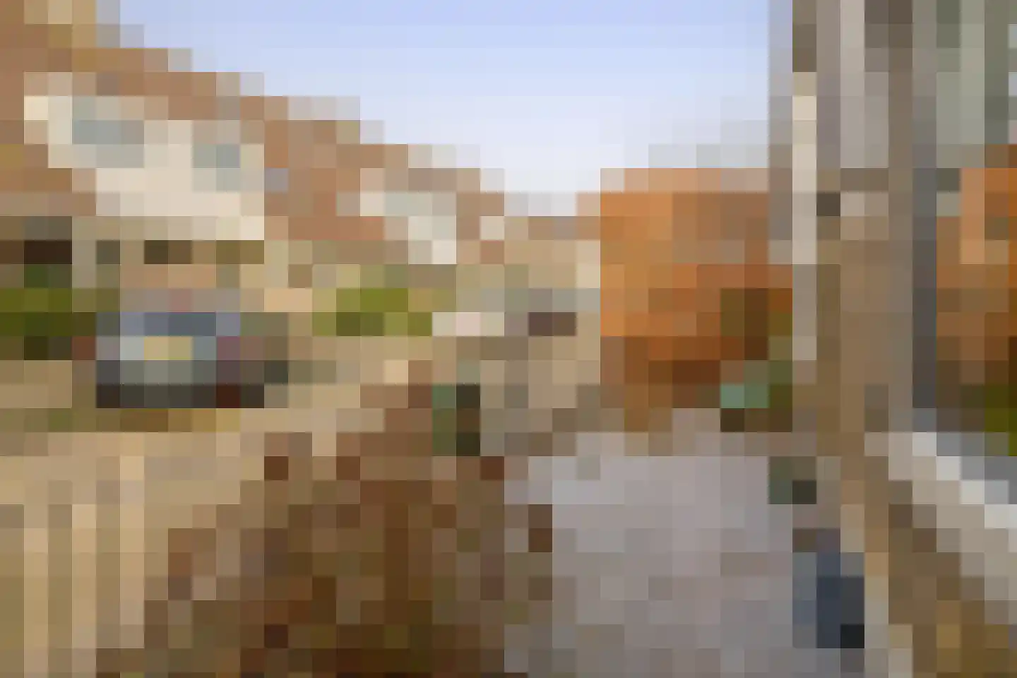 Veerpad 4 Krimpen aan den IJssel thumbnail 7
