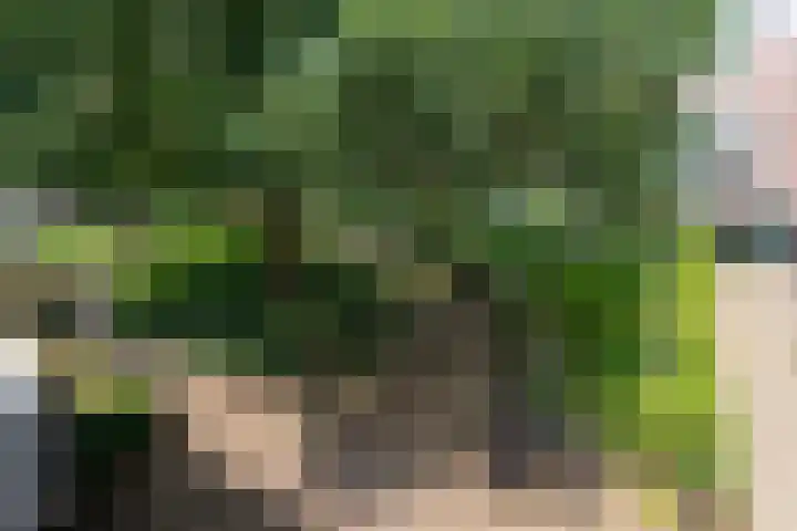 Veerplein 116 Bussum thumbnail 19