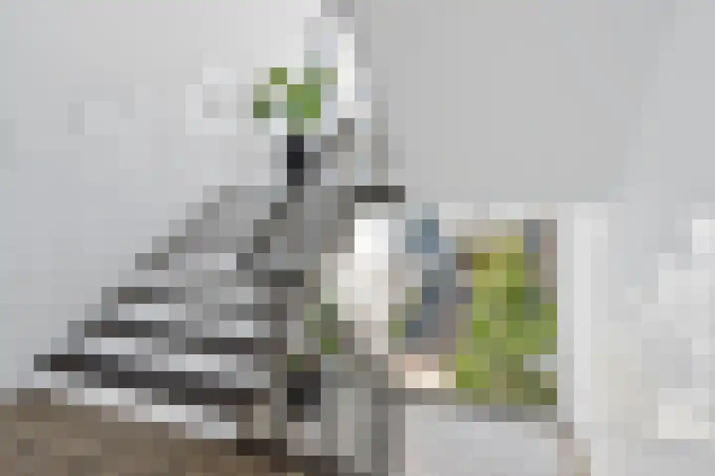 Veerplein 15 Vlaardingen thumbnail 12
