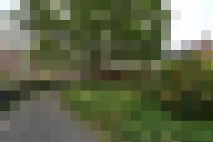 Veerplein 154 Bussum thumbnail 11