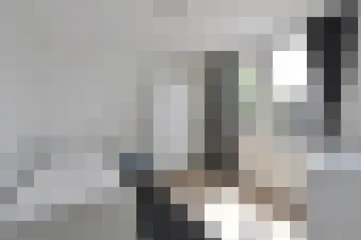 Veerplein 154 Bussum thumbnail 7