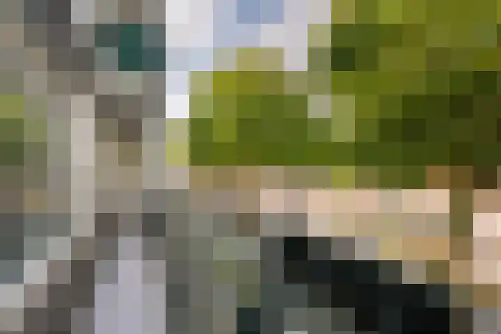 Veerplein 37 Vlaardingen thumbnail 18