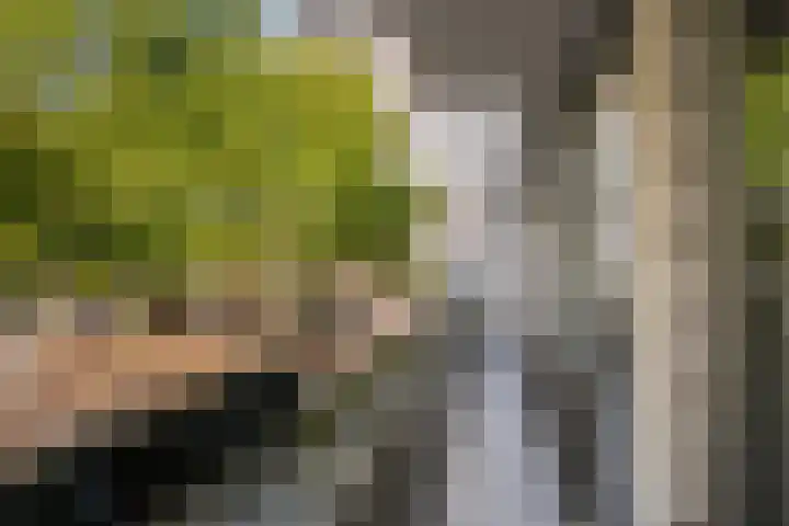 Veerplein 37 Vlaardingen thumbnail 19
