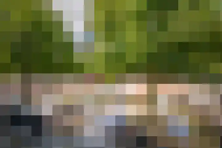 Veerplein 37 Vlaardingen thumbnail 29