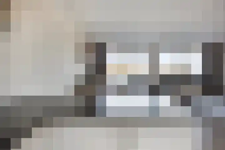 Veerpolder 1 016 Warmond thumbnail 12
