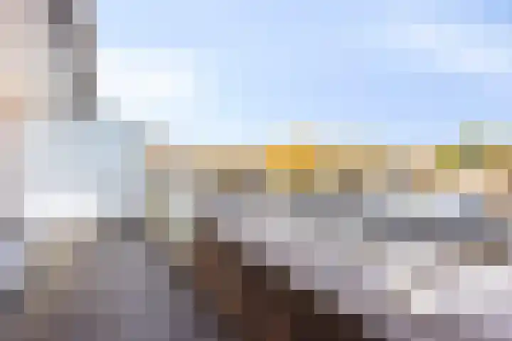 Veerpolder 1 016 Warmond thumbnail 29