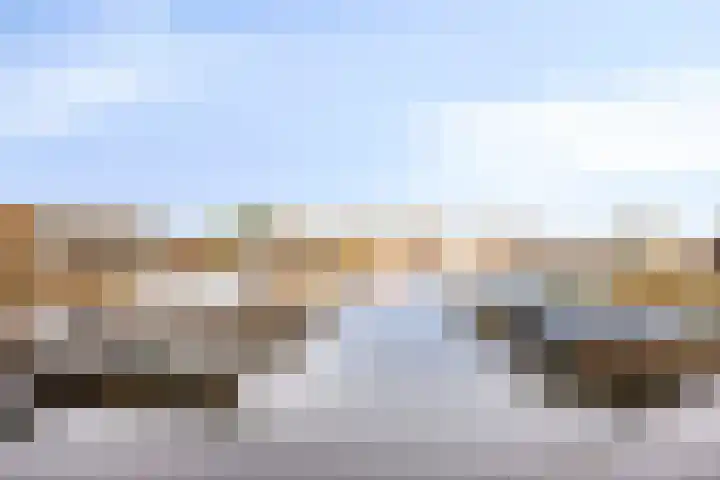 Veerpolder 1 016 Warmond thumbnail 30