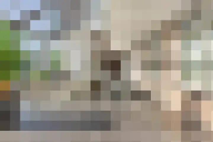 Veerpolder 1 016 Warmond thumbnail 7
