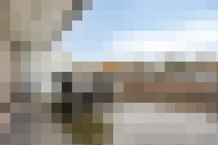 Veerpolder 1 017 Warmond thumbnail 17
