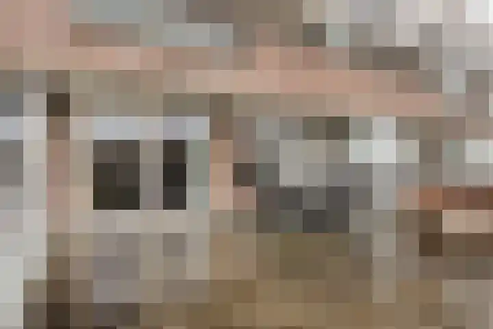 Veerpolder 1 017 Warmond thumbnail 19