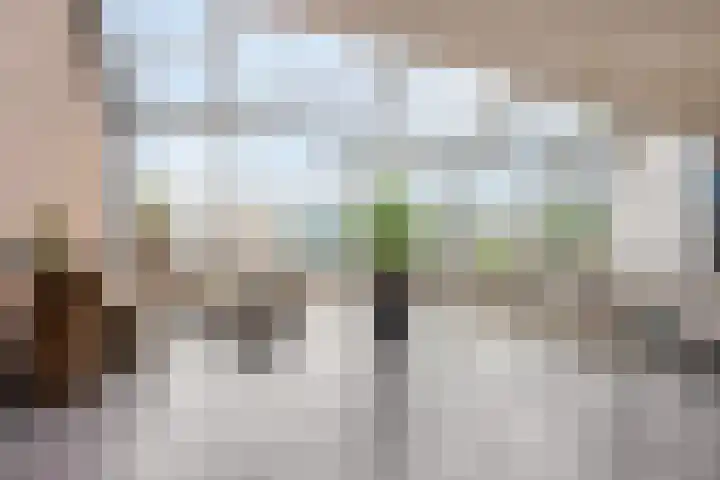 Veerpolder 1 017 Warmond thumbnail 6