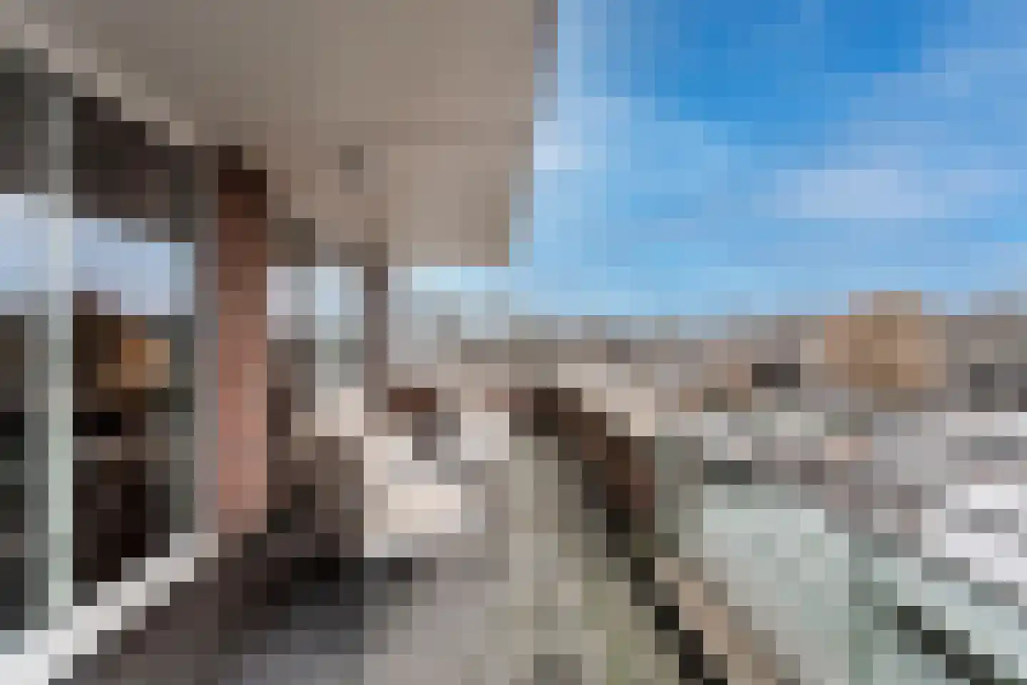 Veerpolder 1 025 Warmond thumbnail 23
