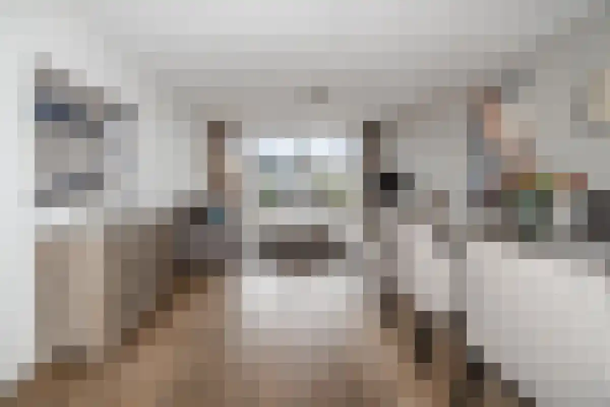 Veerpolder 1 Warmond thumbnail 4