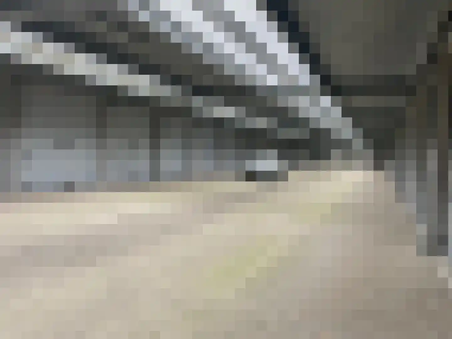 Veerpolder 43 30 Warmond thumbnail 12