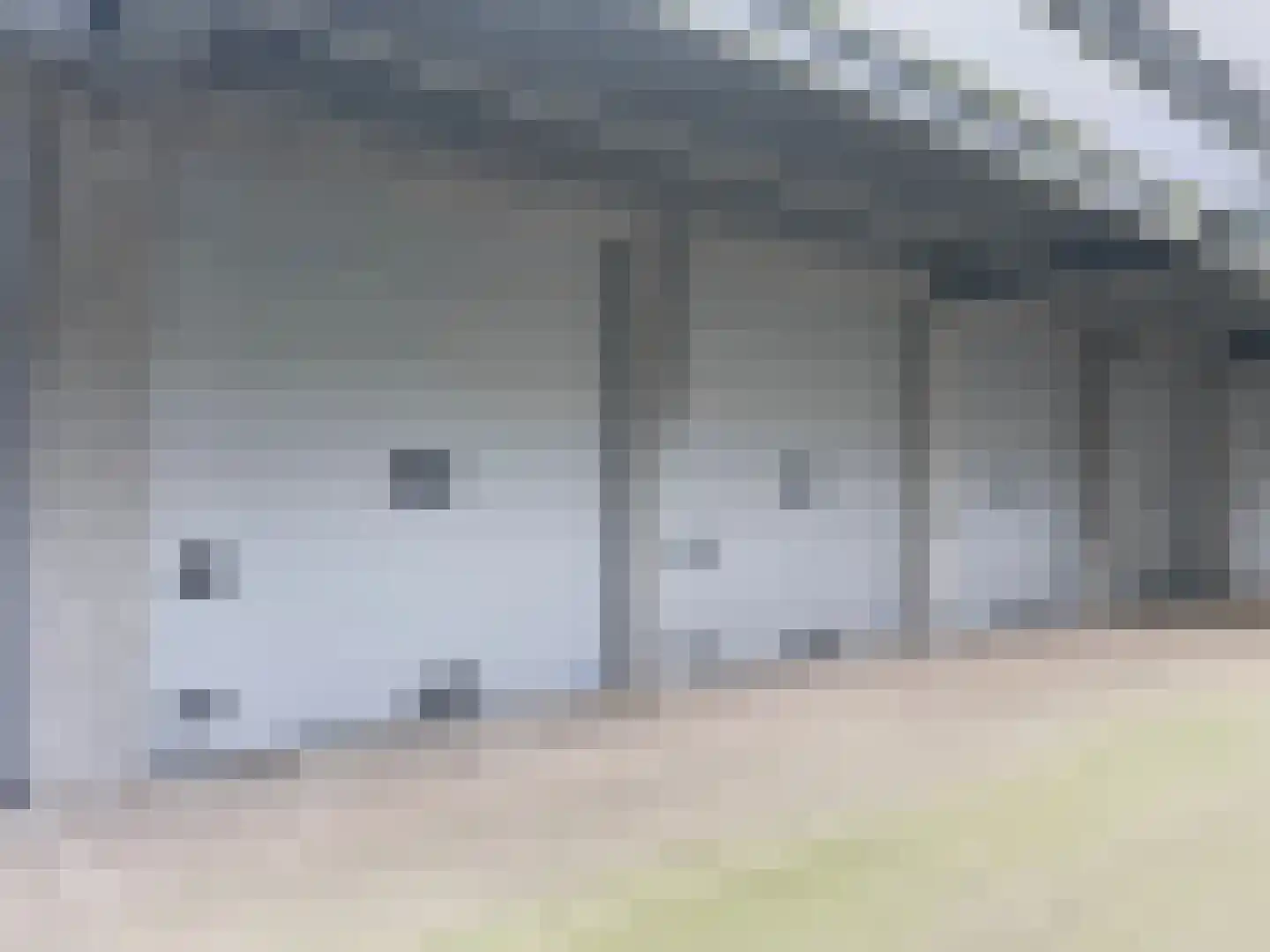 Veerpolder 43 30 Warmond thumbnail 5