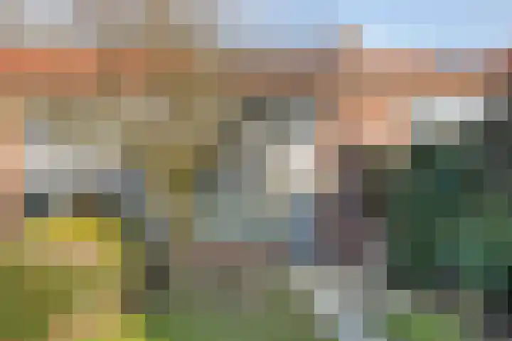 Veerpolderstraat 154 Arnhem thumbnail 33