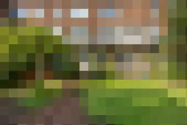 Veerpolderstraat 16 Arnhem thumbnail 32