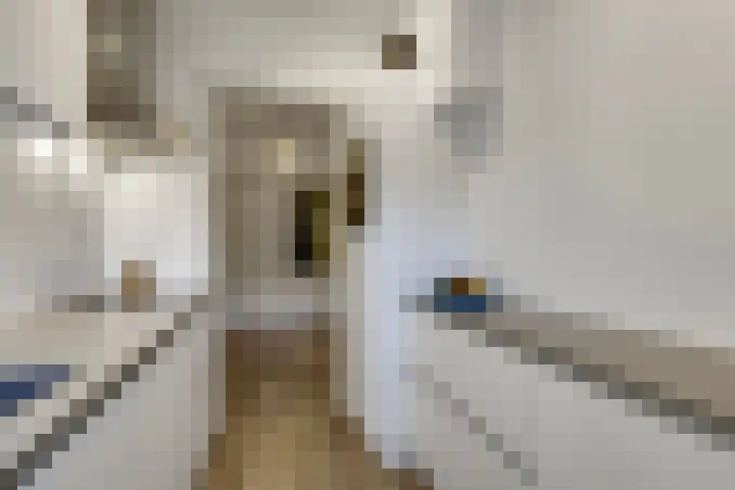 Veerpolderstraat 28 Arnhem thumbnail 21