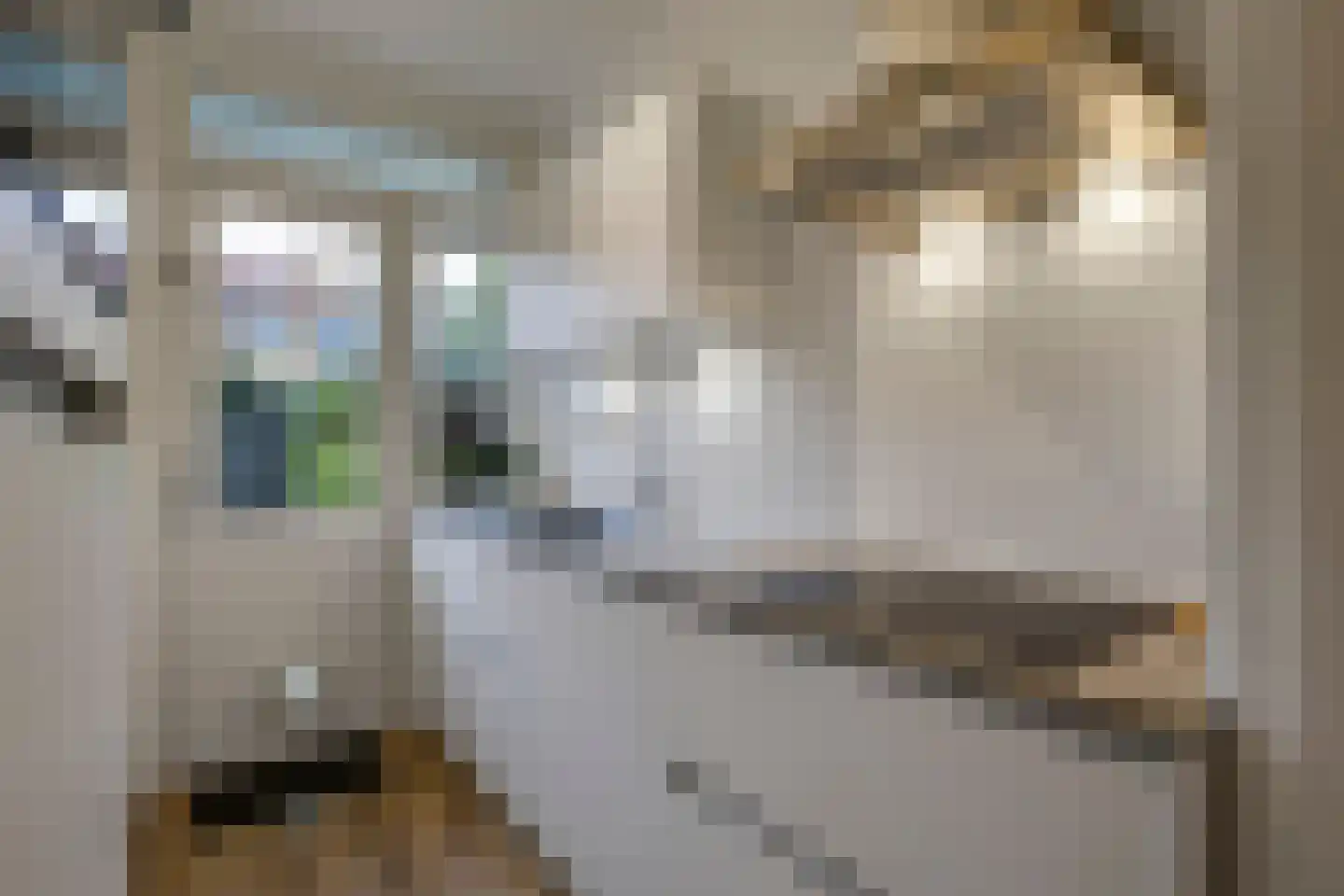 Veerpolderstraat 28 Arnhem thumbnail 22