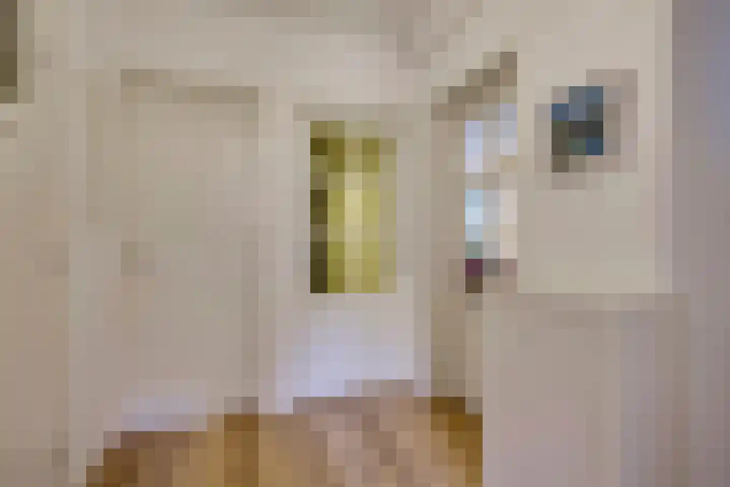 Veerpolderstraat 28 Arnhem thumbnail 28