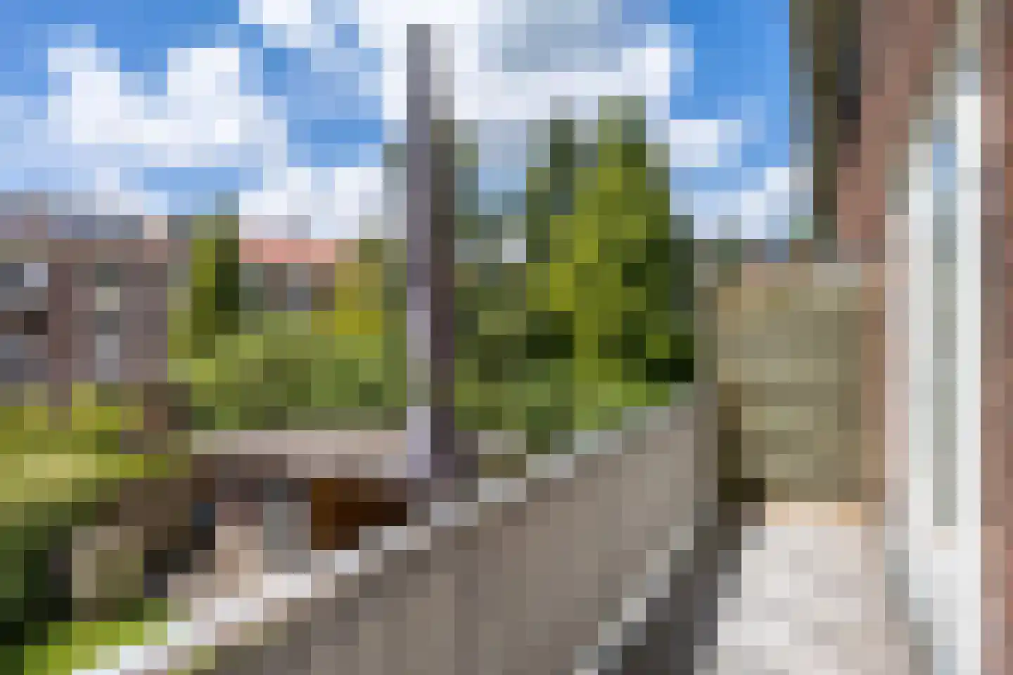 Veerpolderstraat 30 Arnhem thumbnail 15