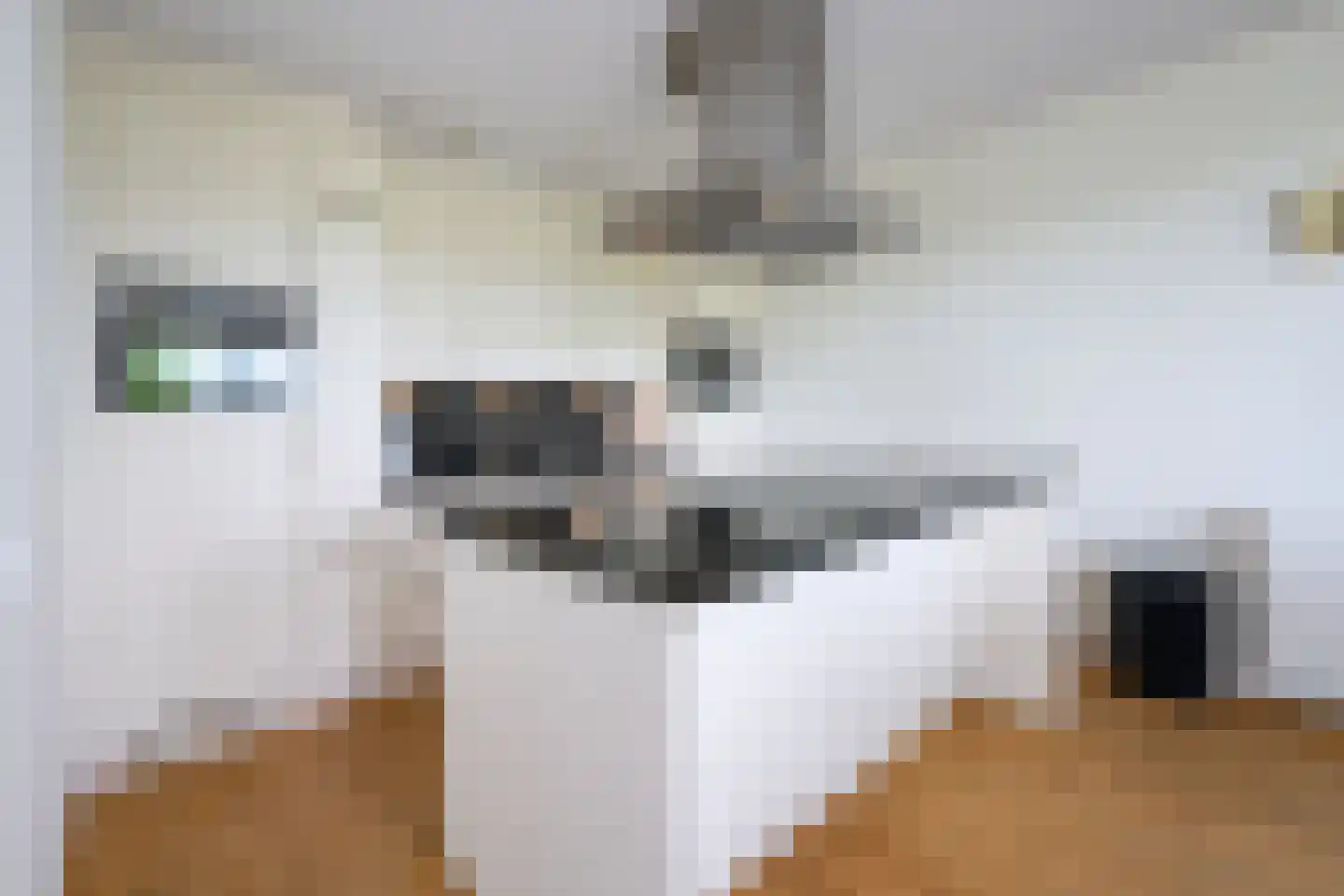 Veerpoortdijk 43 Doesburg thumbnail 11