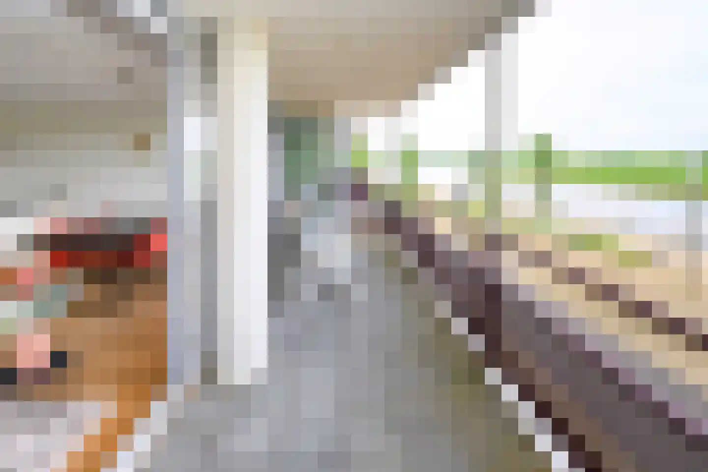 Veerpoortdijk 43 Doesburg thumbnail 15