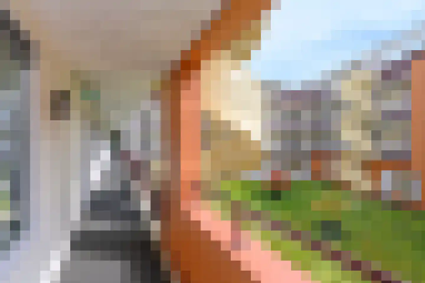 Veerpoortdijk 43 Doesburg thumbnail 26